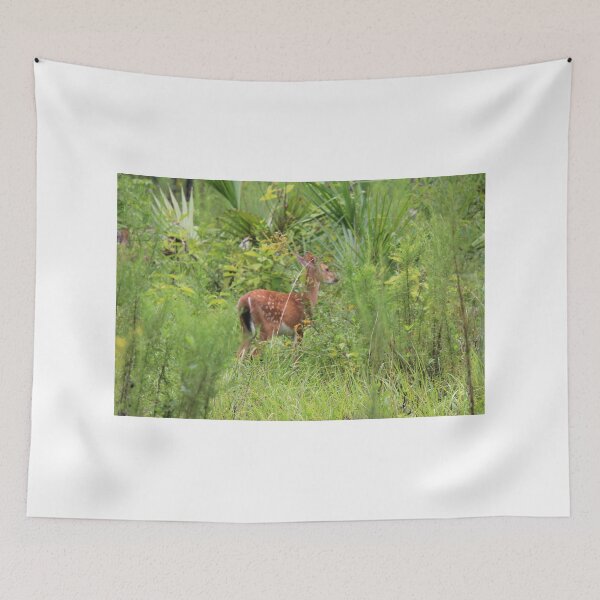 Item preview, Wekiwa State Park August Fawn designed and sold by kevint.