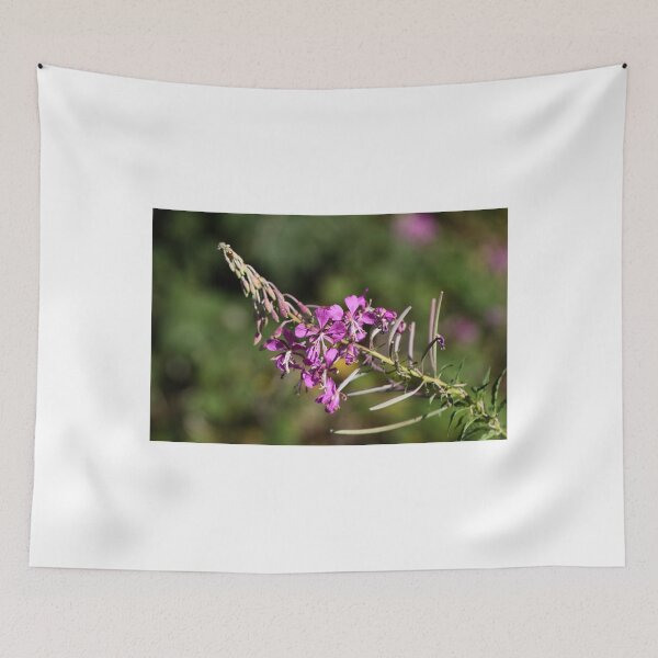 Item preview, Flowers of fireweed (Chamerion angustifolium). designed and sold by Zosimus.