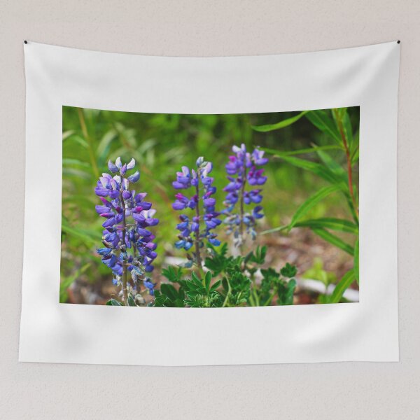 Item preview, Lupines (Lupinus) Flower designed and sold by ADM  Photography.