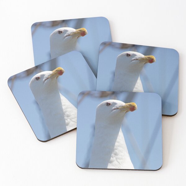 Item preview, The Watchful Gull designed and sold by Autumn Seas Photography.