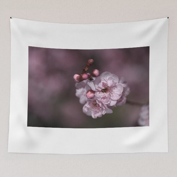 Item preview, Delightful Pink Prunus designed and sold by Joy Watson - Natural Light Photography .
