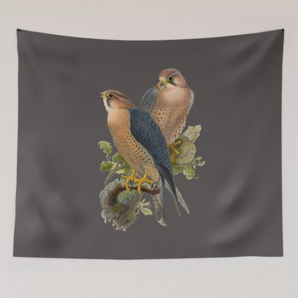 Item preview, falco babylonicus designed and sold by marmur.