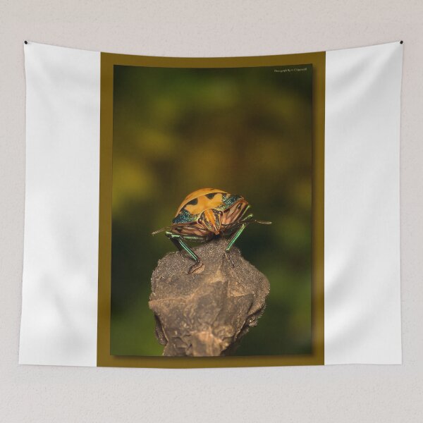 Item preview, Orange stink bug 002 designed and sold by kevin Chippindall.