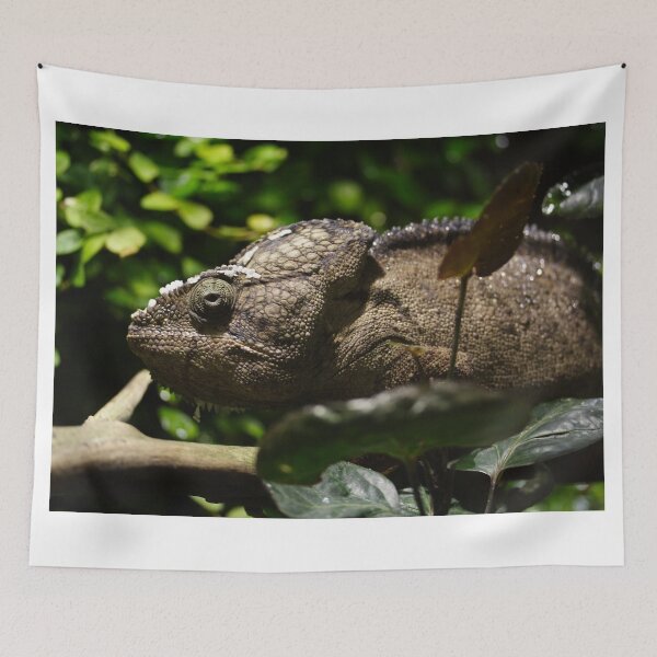 Item preview, Furcifer oustaleti designed and sold by Mythos57.