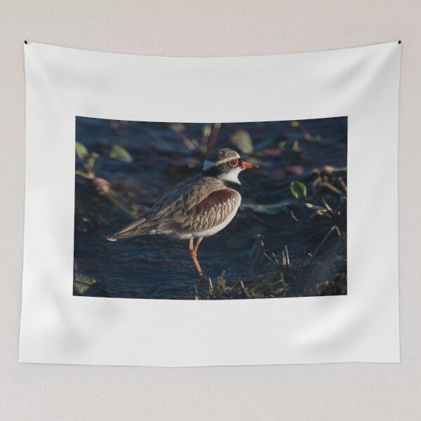 Item preview, The Baby Wader designed and sold by byronbackyard.