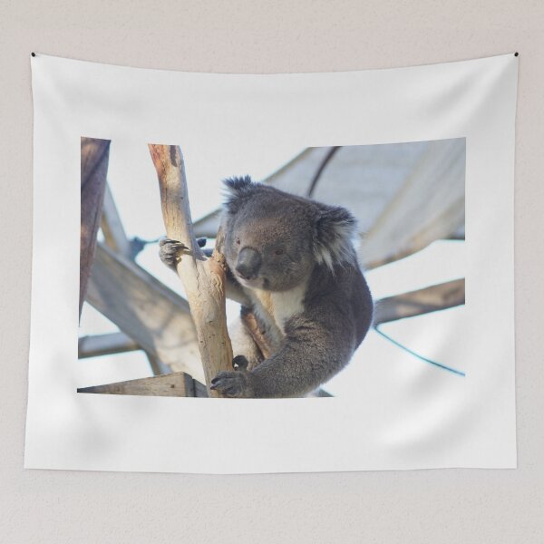 Item preview, Koala designed and sold by Steve9.