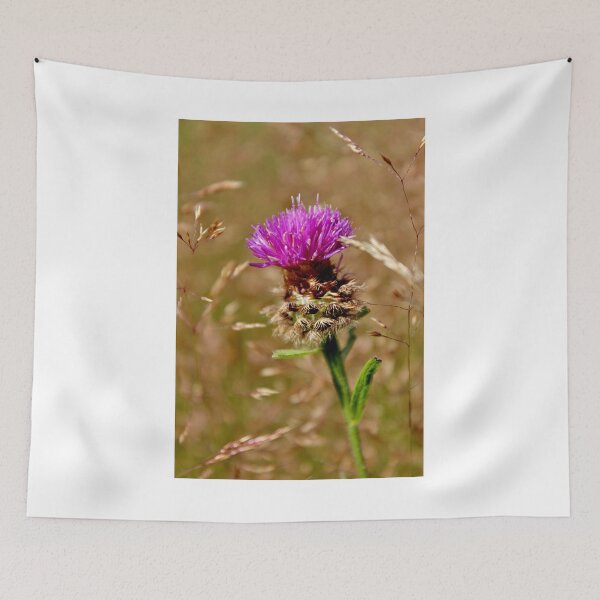 Item preview, Knapweed II designed and sold by Kathleen Daley.