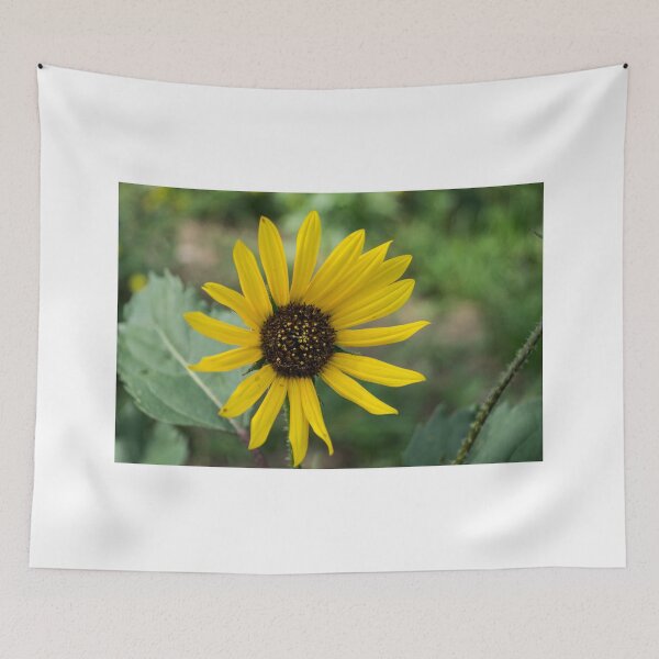Item preview, 81515 sunflower designed and sold by pcfyi.