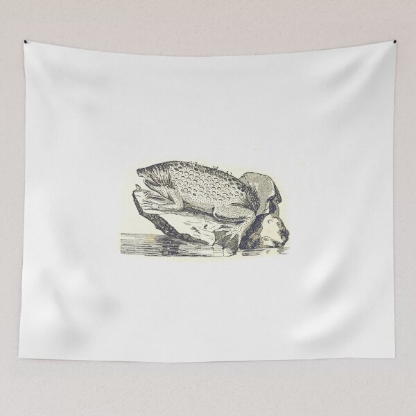 Item preview, surinam toad illustration designed and sold by Vintage Designs +.