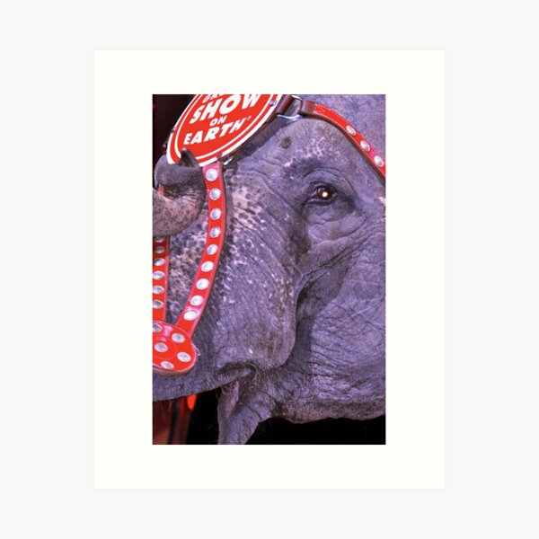 Item preview, Circus Elephant designed and sold by Stacie Forest.
