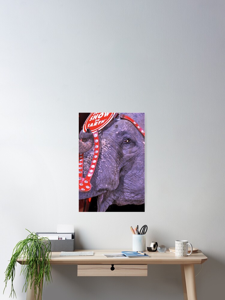 Thumbnail 2 of 3, Poster, Circus Elephant designed and sold by sforest.