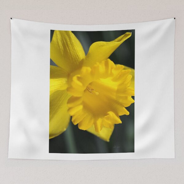 Item preview, Radiant Yellow Daffodil  designed and sold by Joy Watson - Natural Light Photography .