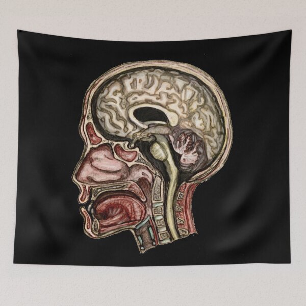 Item preview, Sagittal head section designed and sold by BloodandBone.