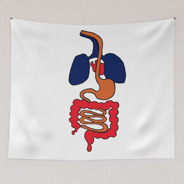 Item preview, Funny digestive system. Cartoon version designed and sold by MagicRoundabout.