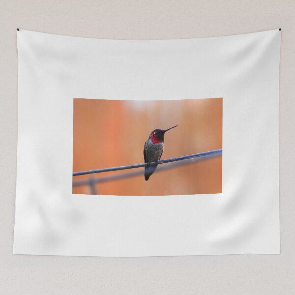 Item preview, Annas Hummingbird designed and sold by ritmoboxers.