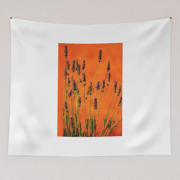 Item preview, Lavenders at Sunset in Provence, FRANCE designed and sold by Bruno Beach.