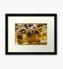 Master Builders Framed Print