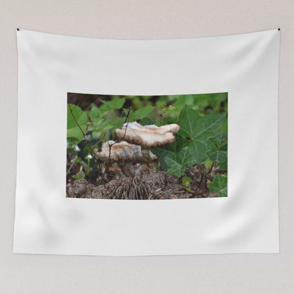 Item preview, Fungi in the garden . lyme .Dorset UK designed and sold by lynn carter.