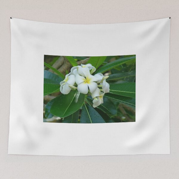 Item preview, Fragrant Frangipani designed and sold by Lola P.