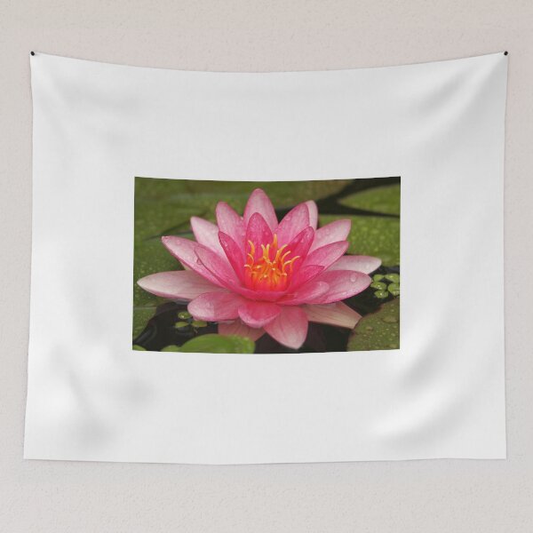 Item preview, Waterlily - Attraction After the Rain designed and sold by Jo Nijenhuis.
