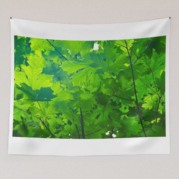 Item preview, Pacific NorthWest Canopy designed and sold by AnkhaDesh.