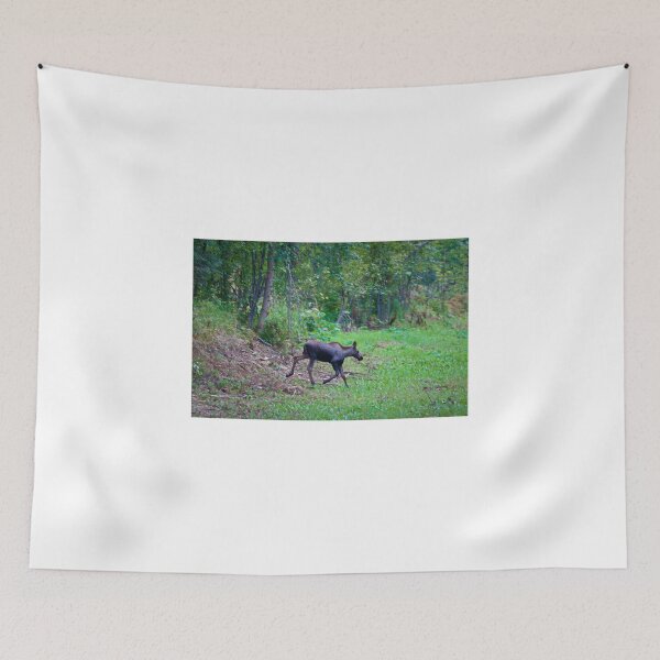 Item preview, Baby Moose designed and sold by ADM  Photography.