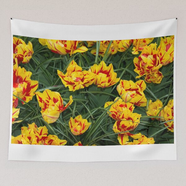Item preview, Red yellow speckled Tulips  designed and sold by hawkie.