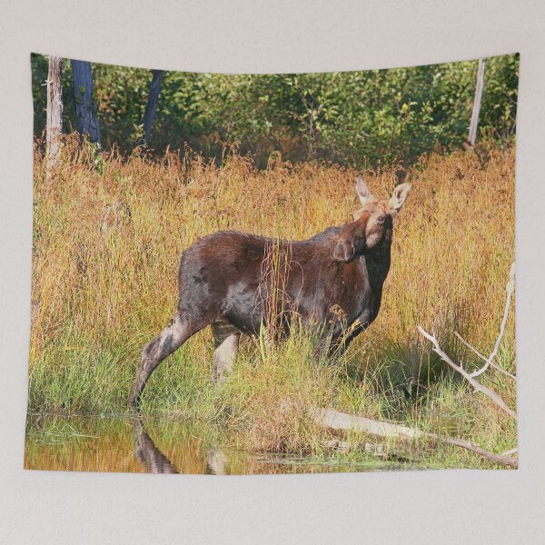 Item preview, Maine Moose cow designed and sold by Enola Gay Wagner.