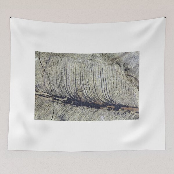 Item preview, Fragile Fossil Plant Leaf designed and sold by Zosimus.