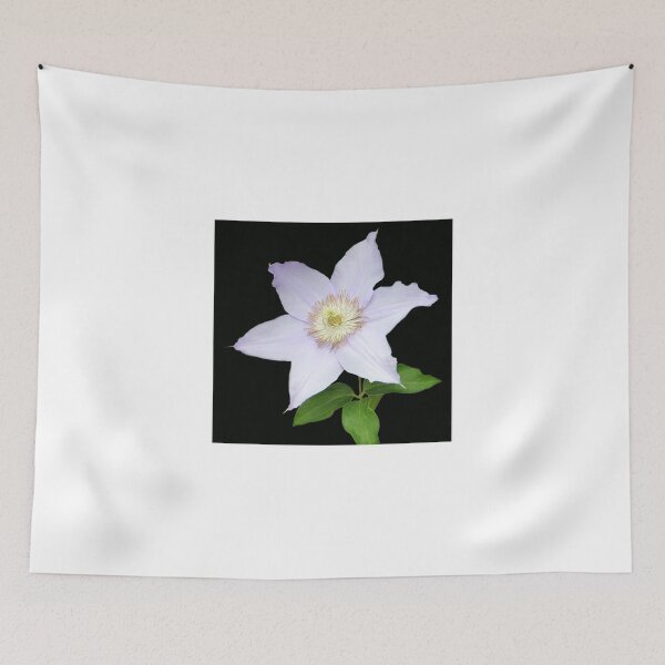 Item preview, Purity designed and sold by vette.