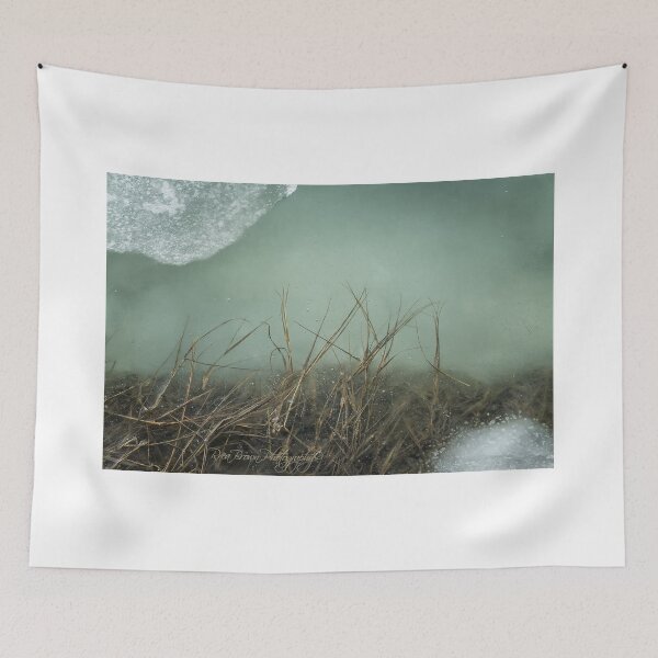 Item preview, Looking through the Glass  designed and sold by Rrea Brown Photography.