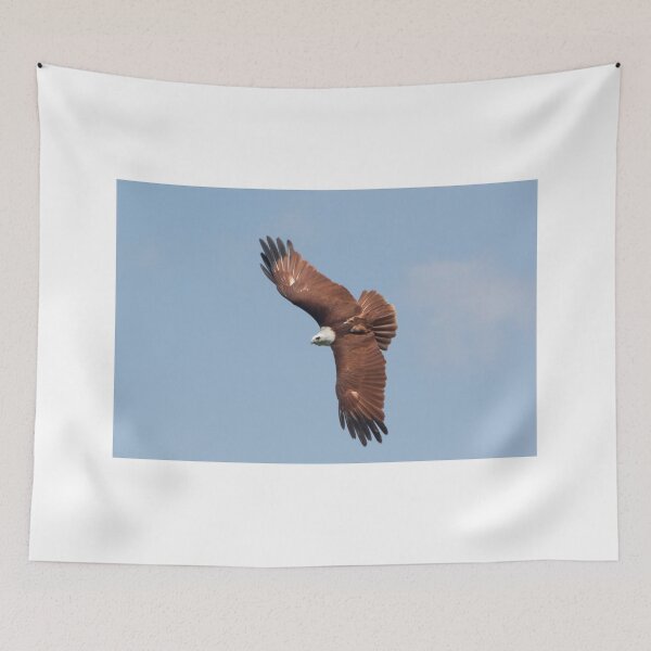 Item preview, Kite Overhead designed and sold by byronbackyard.