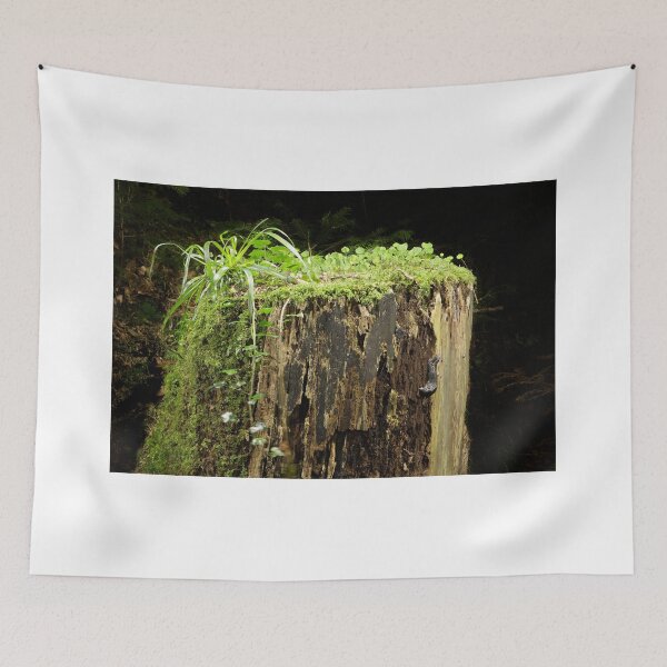 Item preview, Nightland # 13 designed and sold by Stefan Bau.