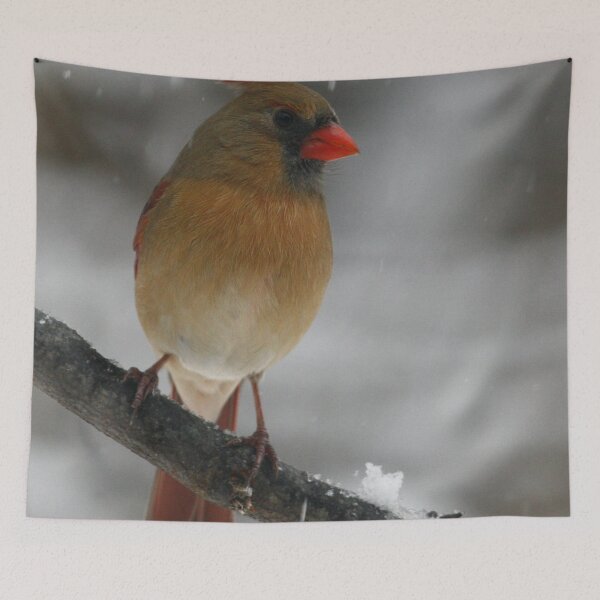 Item preview, Northern Cardinal designed and sold by Enola Gay Wagner.