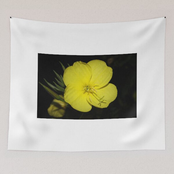 Item preview, Evening Primrose designed and sold by Jo Nijenhuis.