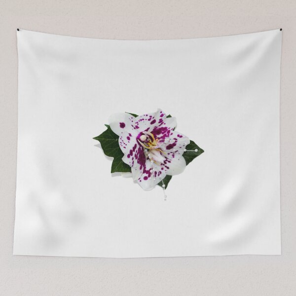 Item preview, White Orchid designed and sold by robertcassphoto.