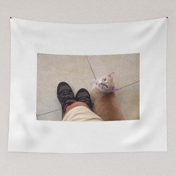 Item preview, Cat By The Feet designed and sold by Mezei József Tibor.