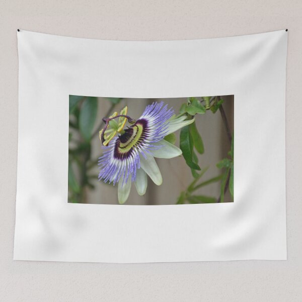 Item preview, Passion Flower......Lyme Dorset UK designed and sold by lynn carter.