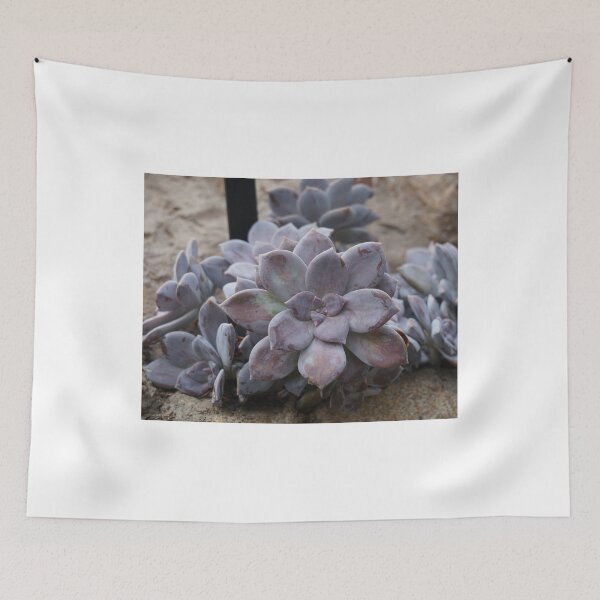 Item preview, Succulents at the Botanical Gardens designed and sold by Lagoldberg28.