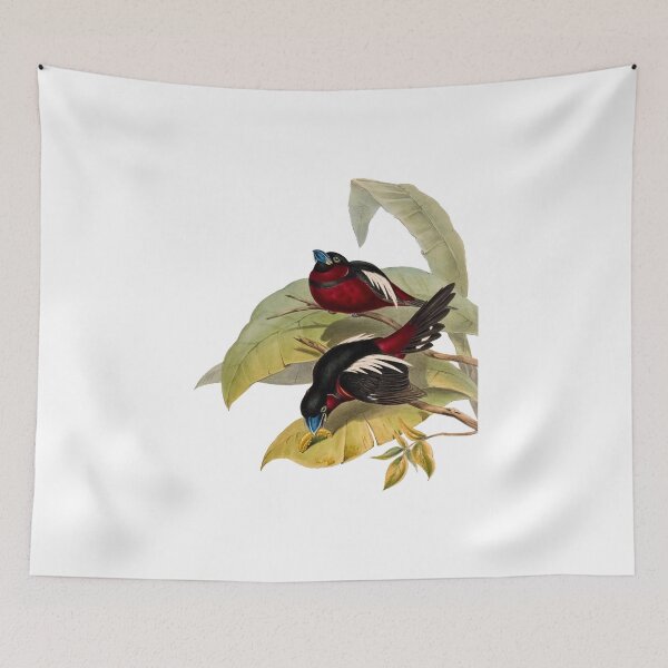 Item preview, Great-billed Eurylaime designed and sold by marmur.