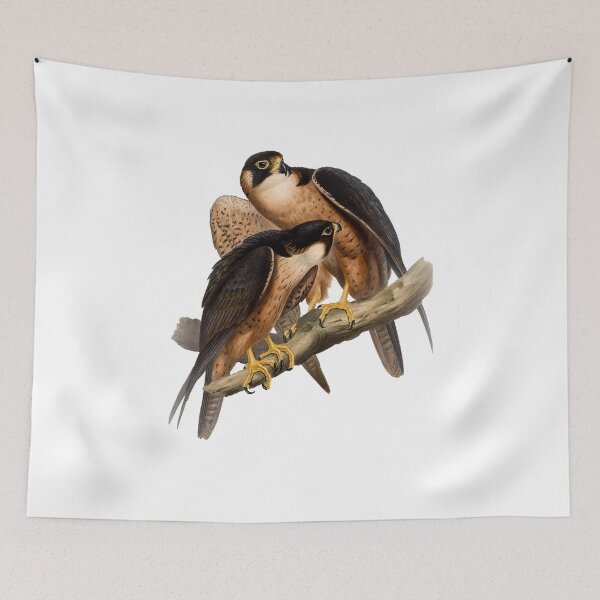 Item preview, falco peregrinator designed and sold by marmur.