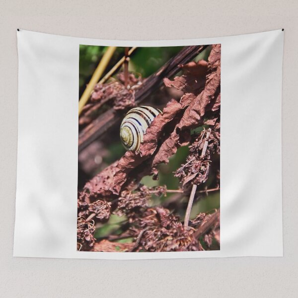 Item preview, Snail In Withered Leaves designed and sold by Dorset Girl.