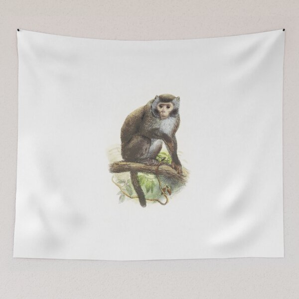 Item preview, Wild Monkey Vintage illustration designed and sold by Vintage Designs +.