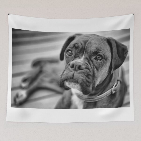 Item preview, The Boxer designed and sold by Roger  Mackertich.