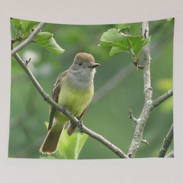 Item preview, Great crested Flycatcher designed and sold by Enola Gay Wagner.