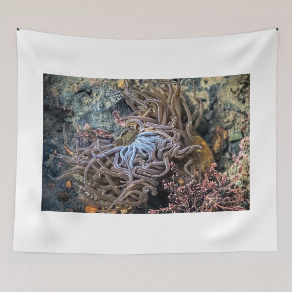 Item preview, Sea Anemones designed and sold by Dorset Girl.