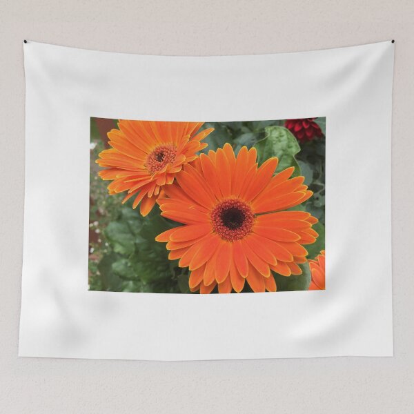 Item preview, Orange Blush designed and sold by Juli Cady Ryan.