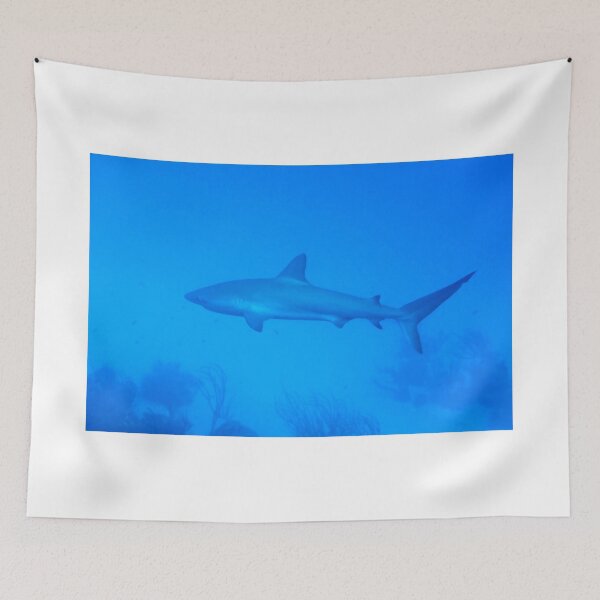Item preview, Caribbean Reef Shark   designed and sold by Amy McDaniel.