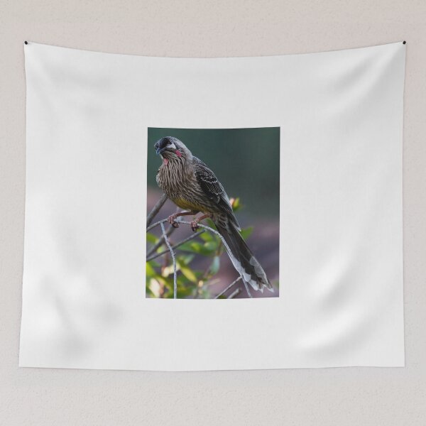 Item preview, Smug Red Wattlebird designed and sold by Sandra Chung.