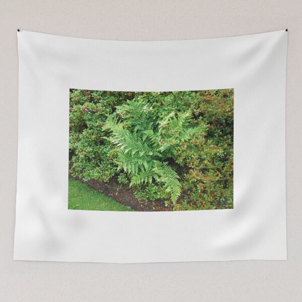 Item preview, Ferns and Bushes designed and sold by MidnightMelody.